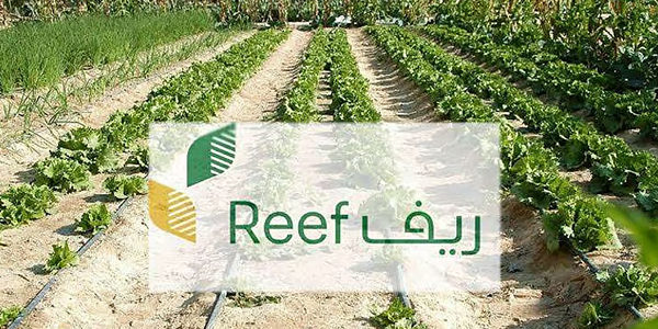 صورة مصغرة
